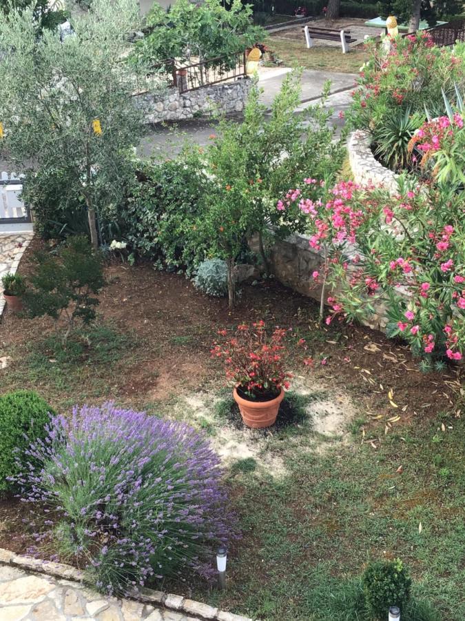 Ždrelac Apartmani Misic מראה חיצוני תמונה
